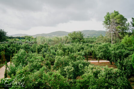 Fotograaf Ibiza - Edwin Verhoef Photography