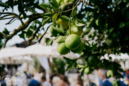 Fotograaf Ibiza - Edwin Verhoef Photography