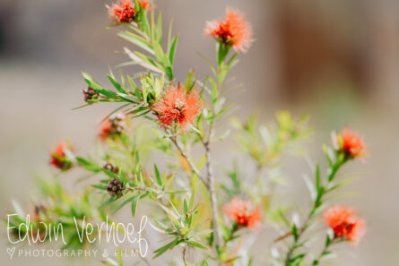 Fotograaf Ibiza - Edwin Verhoef Photography